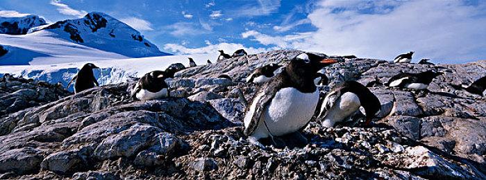 卡普空已移除《丧尸围城：豪华复刻版》D加密技术