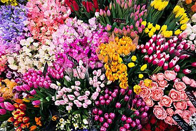 《外科模拟2》将于9月2日推出XS＆XB1＆Steam版